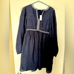 Banana Republic Blue and White Pleated Sundress with Bishop Sleeves